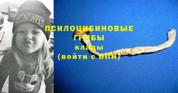 бошки Сосновоборск