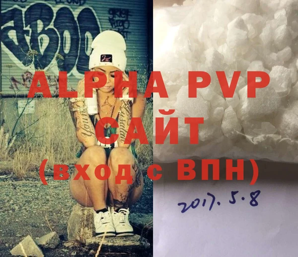 стаф Белокуриха