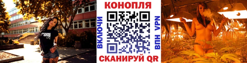 кракен онион  Бузулук  shop какой сайт  Бошки Шишки тримм 